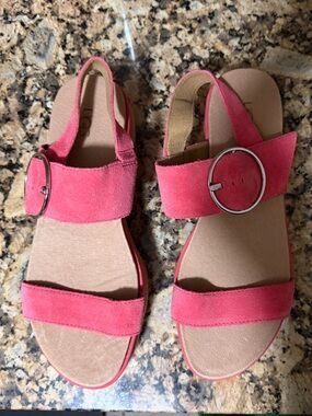 Brand New UGG Pink Suede Buckle-Strap Open-Toe Sandals